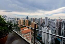 Skypark @ Somerset (D9), Apartment #458434701